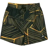 Quiksilver Everyday Printed Volley 14´´ Simshorts