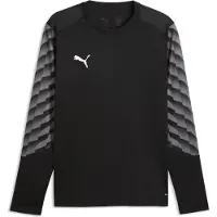 Puma Målvaktströja teamLIGA 26 - Svart, storlek Large
