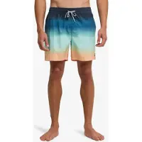 Billabong All Day Fade Simshorts