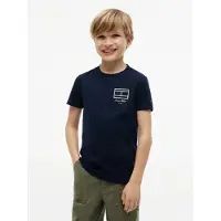 Tommy Hilfiger Outline Flag Logo Jersey T-Shirt