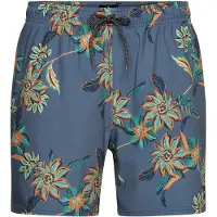 Rip Curl Sessions Simshorts