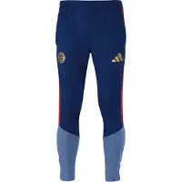 Adidas Fc Bayern Munich 26/27 Träning Träningsbyxor