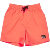 Quiksilver Everyday Volley 12´´ Simshorts