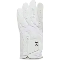 Under Armour Herr Iso-Chill Golfhandske, Vit (100)/Svart, Vänster Hand Liten
