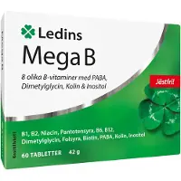 Ledins Mega B 60 st