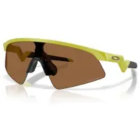Oakley Resistor Sweep Solglasögon