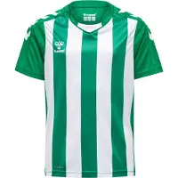 Hummel Matchtröja Core Striped - Grön/Vit Barn, storlek 152 cm