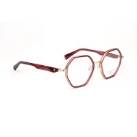 Ana Hickmann Optical Frame HIY1025 T02 50 Titanium