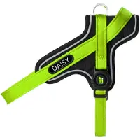 My Family Memopet Id Personalizable Y Hundsele