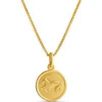 Top Gold förgyllt silver Stenbocken horoskop hängsmycke med kedja 45cm 52 5701 0000