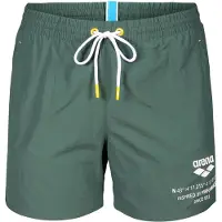 Arena Graphic Beach Simshorts