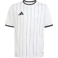 Adidas T-shirt - Entrada 26 grafikkort - Vit/Svart - - 6 år (116) - T-shirt