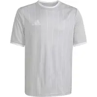 Adidas T-shirt - Ingång 26 - Team Light Grey/Vit - - 16 år (176) - T-shirt