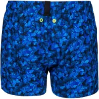 Arena Evo Beach X Allover Simshorts