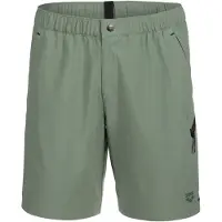 Arena Evo Walking Simshorts