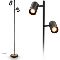 Briloner Golvlampa Duta, Svart, Vardagsrum / matsal, Metall, Modern, Golvlampa
