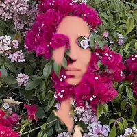 Proper S&D Consignment Press Daisy: You Are The Flower