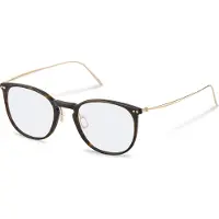 Rodenstock R7136 Pantos Glasögon
