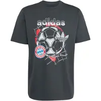 Adidas Fc Bayern Munich Seasonal Graphic T-shirt Med Korta ärmar