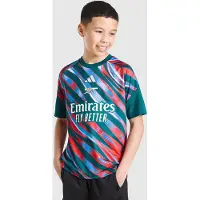 Adidas Arsenal FC Pre Match Shirt Junior, grön