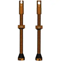 Peaty's Tubeless Ventiler