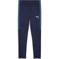 Puma Sportbyxa 'TeamLiga26' marinblå / royalblå / mörkblå / vit