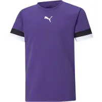 Puma Tröja Puma teamRISE Jersey Jr 70493810