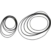 Sram Red Axs Kassett Låsring