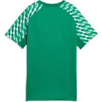 Puma Tränings T-Shirt teamLIGA26 - Sport Grön/White Barn, storlek 164 cm