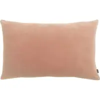 Vivaraise ELISE CUSHION EPICE 40X65
