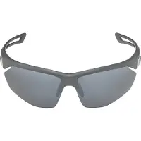 Alpina Nylos Hr Solglasögon