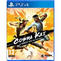 Cobra Kai: The Karate Kid Saga Continues