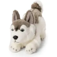 Living Nature Gosedjur - 23x15 cm - Husky Lekfull valp - Grå - - One Size - Gosedjur