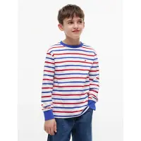 Tommy Hilfiger Essential Stripe Relaxed Long Sleeve T-Shirt