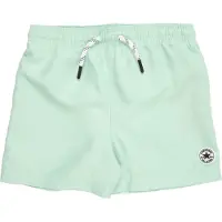 Converse Badshorts mint