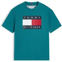 Tommy Hilfiger Flag Logo Jersey Crew Neck T-Shirt