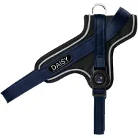 My Family Memopet Id Personalizable Y Hundsele