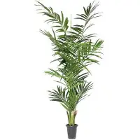 Newport Kentia palm konstväxt grön