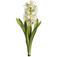 Newport Hyacint snittblomma vit