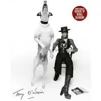 Terry O'Neill's Rock 'n' Roll Album