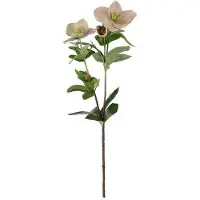 Newport Julros snittblomma rosa