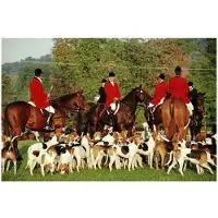 Slim Aarons Millbrook Hunt
