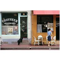 Slim Aarons Nicely Coiffed