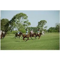 Slim Aarons Polo Match