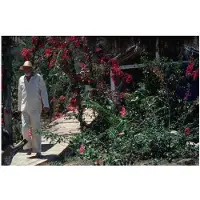 Slim Aarons John Huston