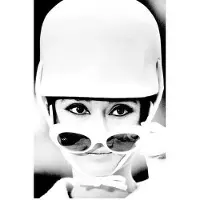 Cobra Art Hepburn