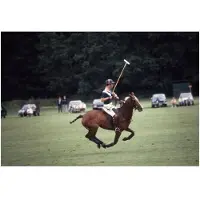 Slim Aarons Polo Prince