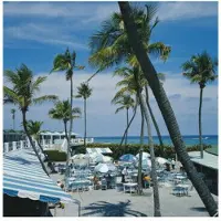 Slim Aarons Florida Palms