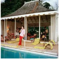 Slim Aarons Family Snapper
