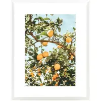 Newport Lemons